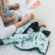 Nautical Blue Minky Baby Blankets